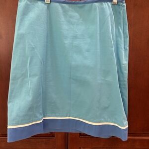 Elegant Blue Women's Skirt